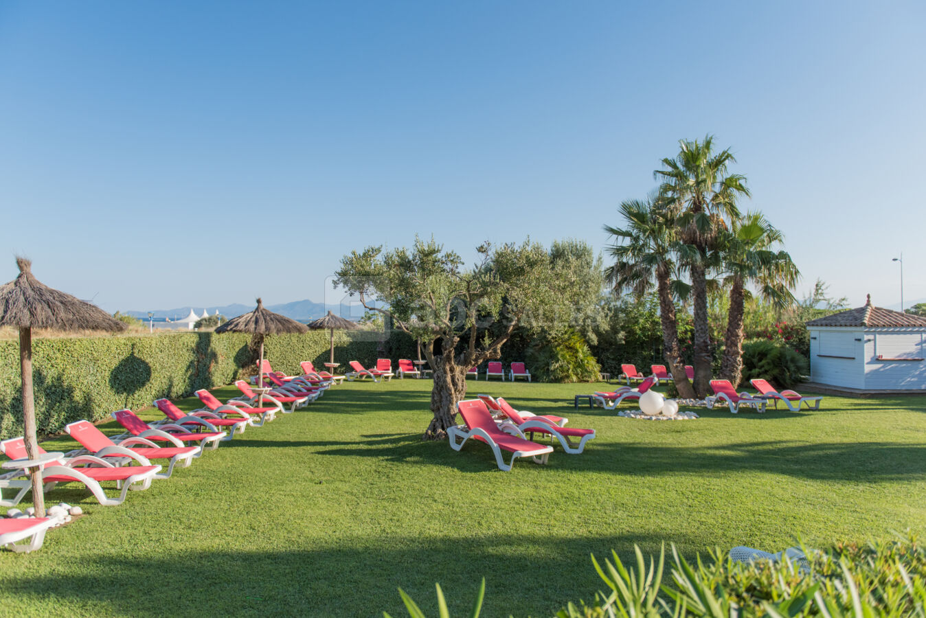 JARDIN DE L'HOTEL