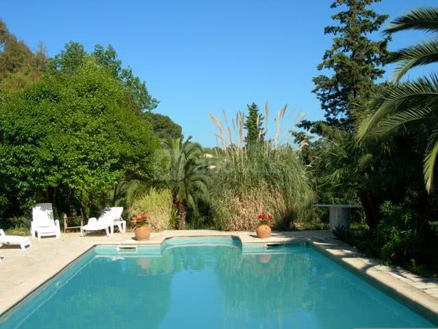 Vue piscine arborée