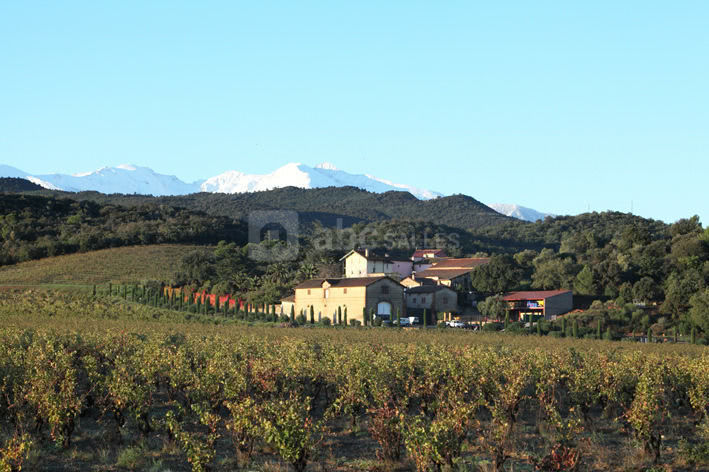 Au pied du canigou