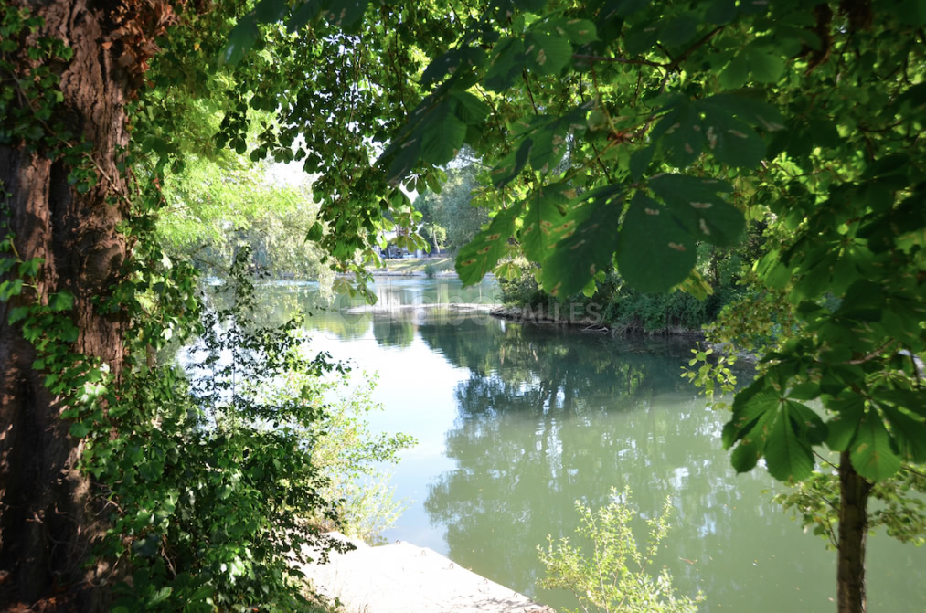 Vue sur la marne