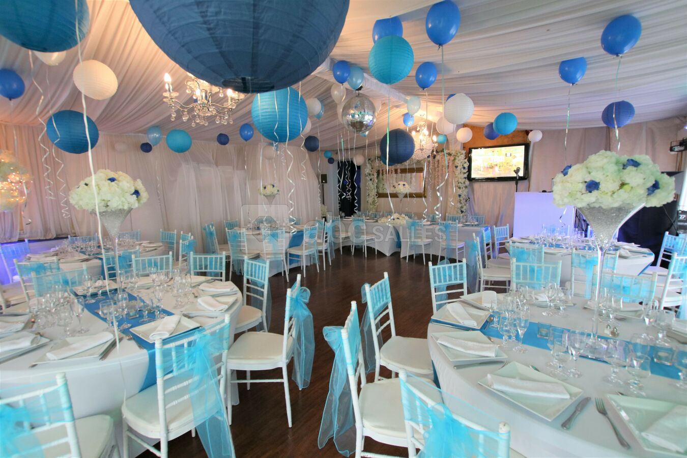 Diderot Turquoise Theme