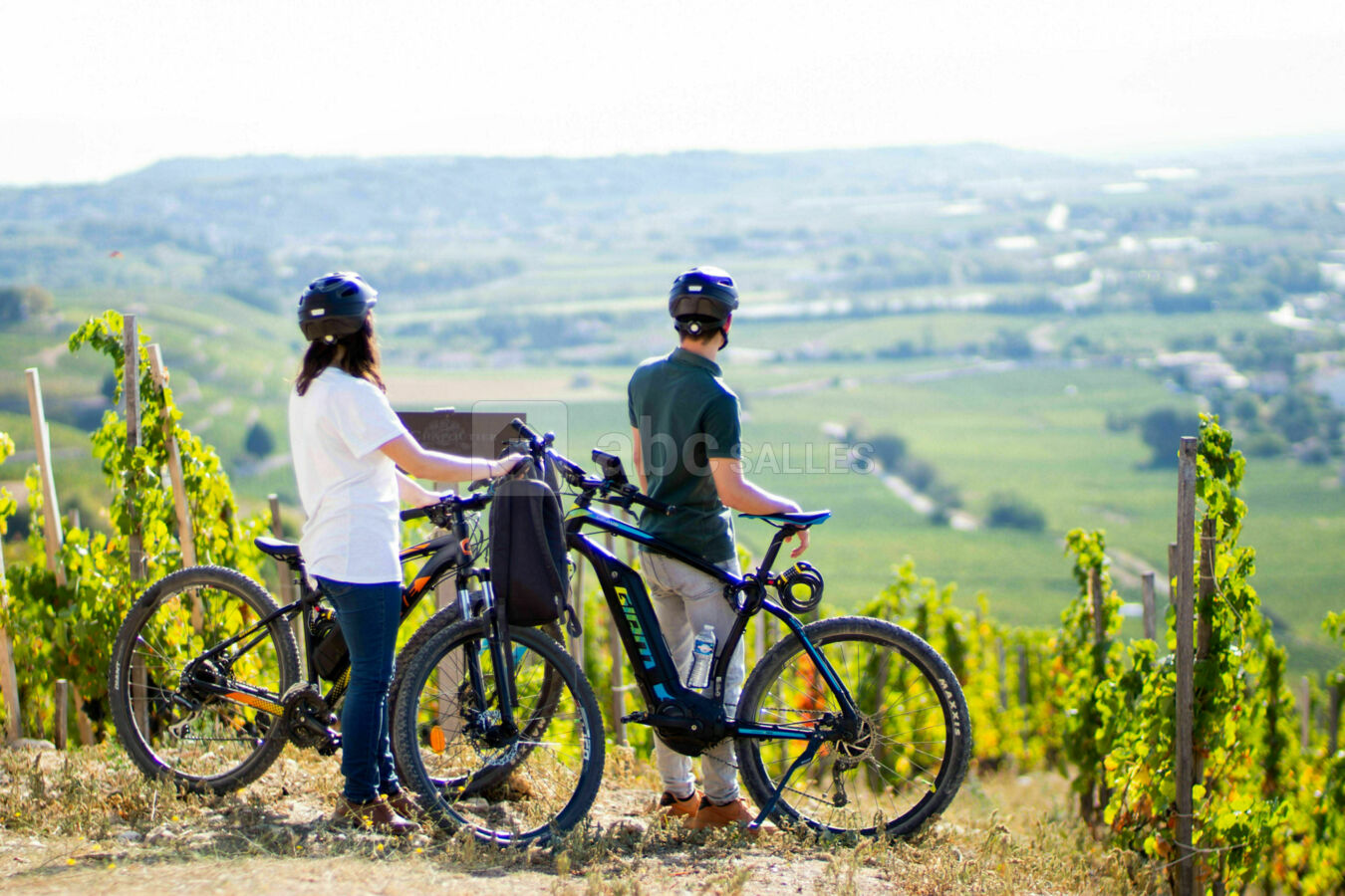 Balade à vélo électrique dans les vignes