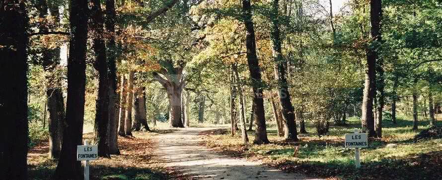 Domaine des Fontaines