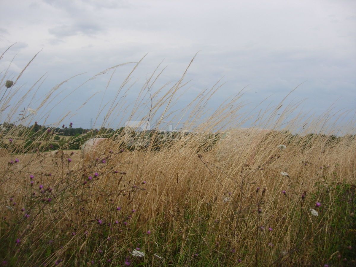 Tout alentour, la campagne...