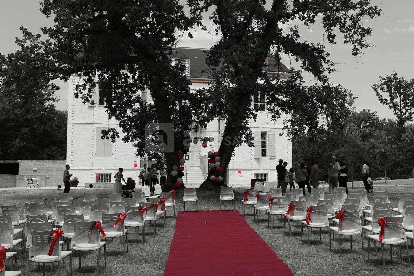 Mariage civil dans le parc