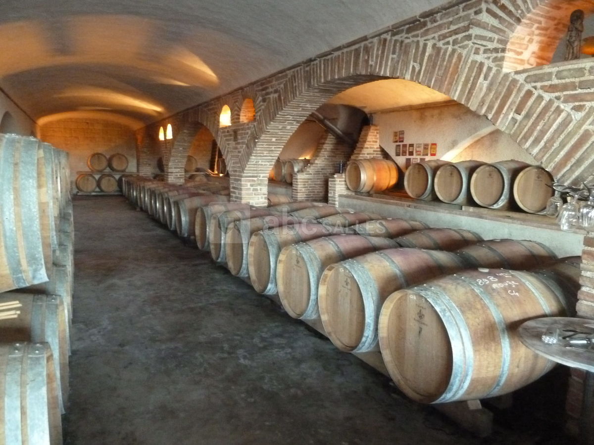 Visites de chais