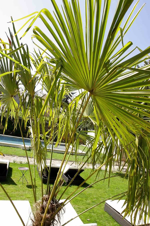 L'a propos_piscine