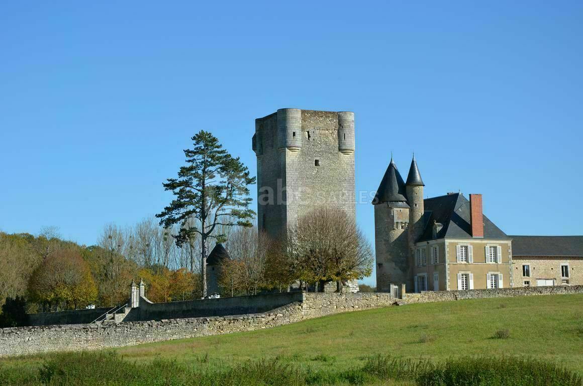Le domaine