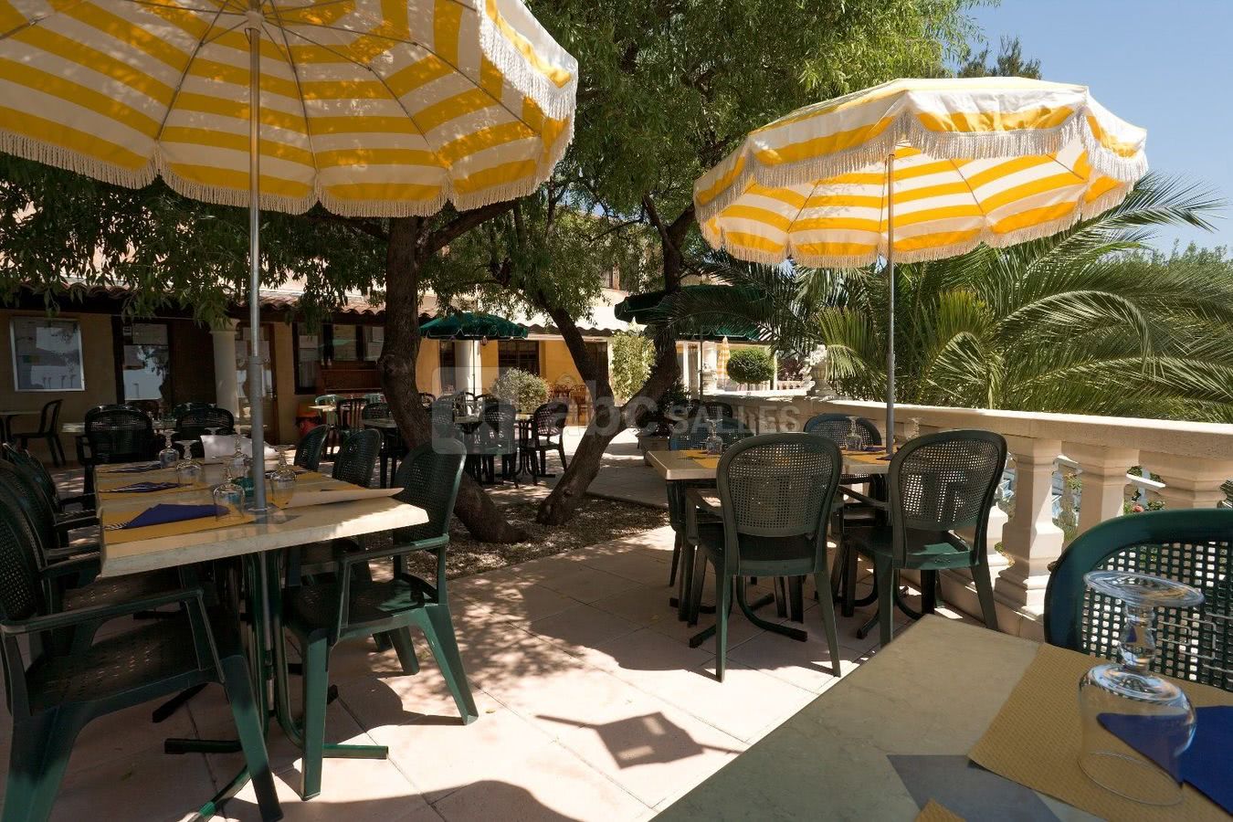 All Suites Resort & Spa