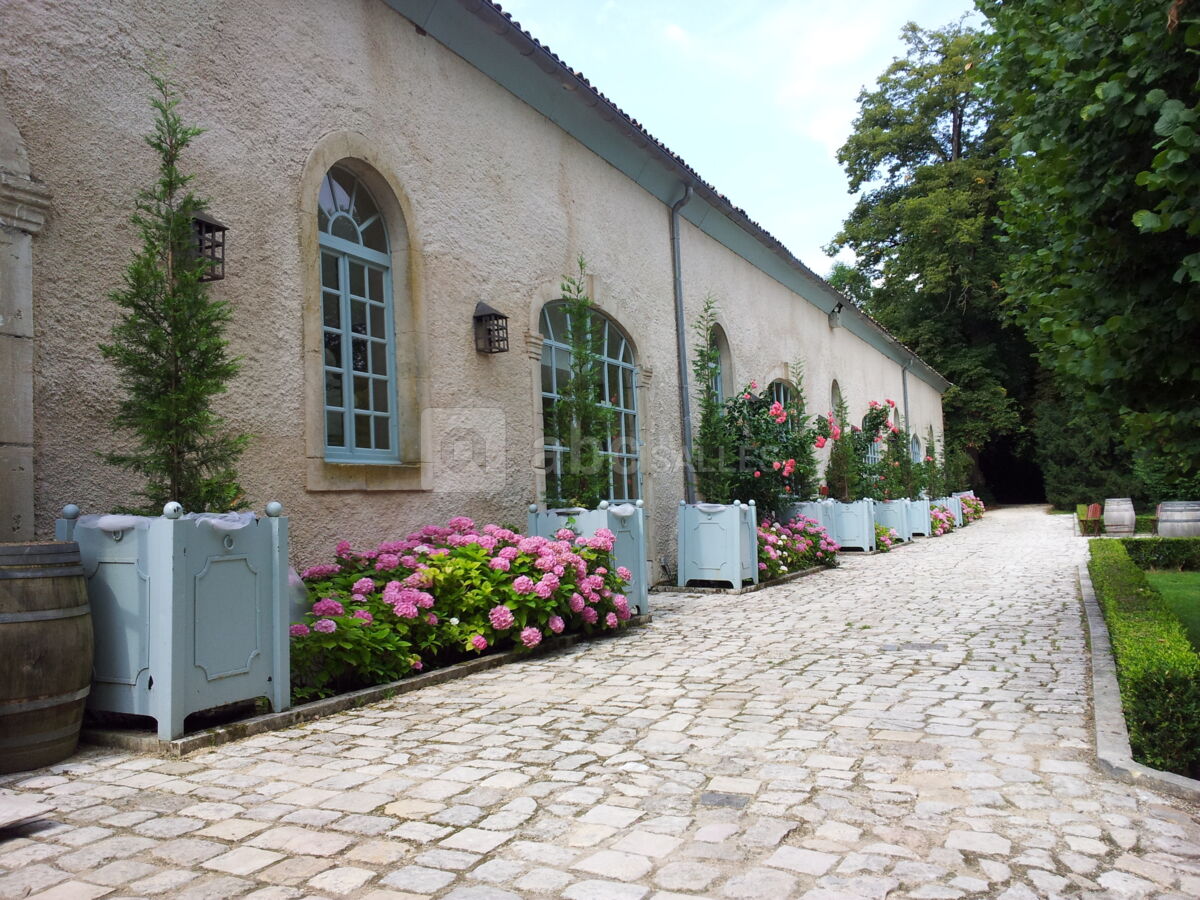 Grande terrasse pavée