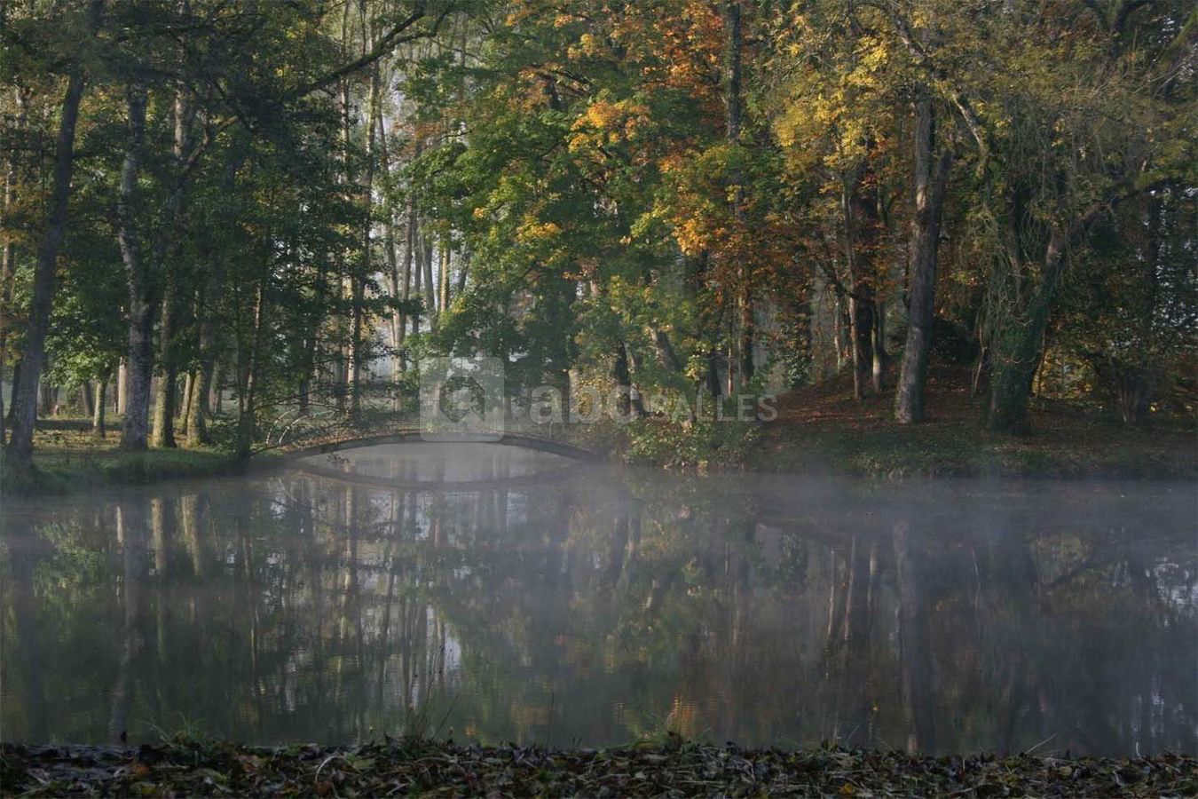 Matin d'automne sur le petit pont de l'ile