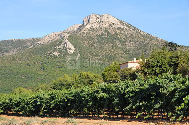 Vusur le mont aurélien