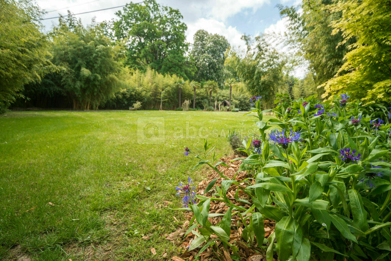 Jardin Nobuyoshi