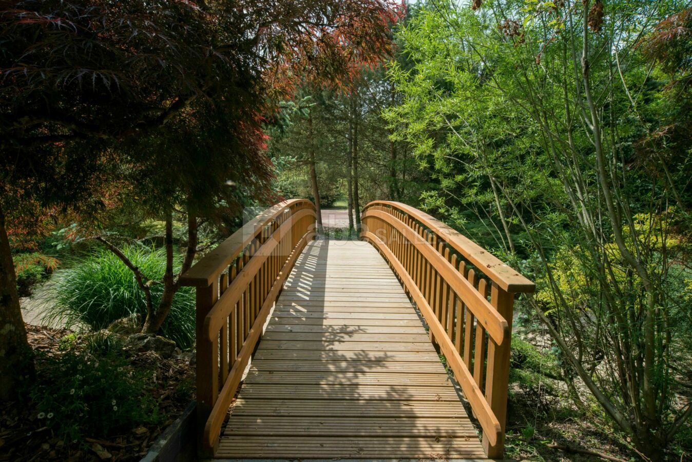 Pont du jardin Nobuyoshi