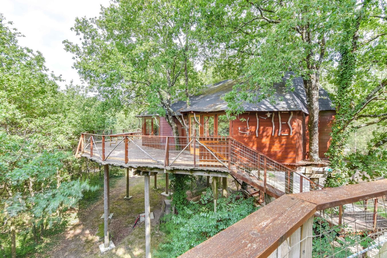 Salle dans les arbres