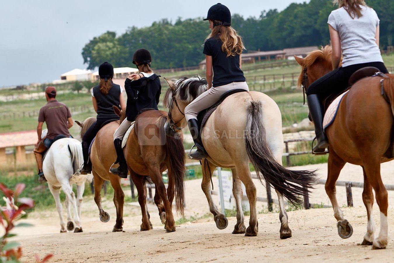 Equitation