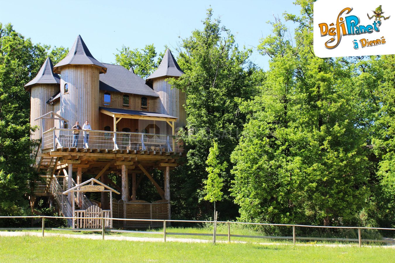 Chateau dans les branches