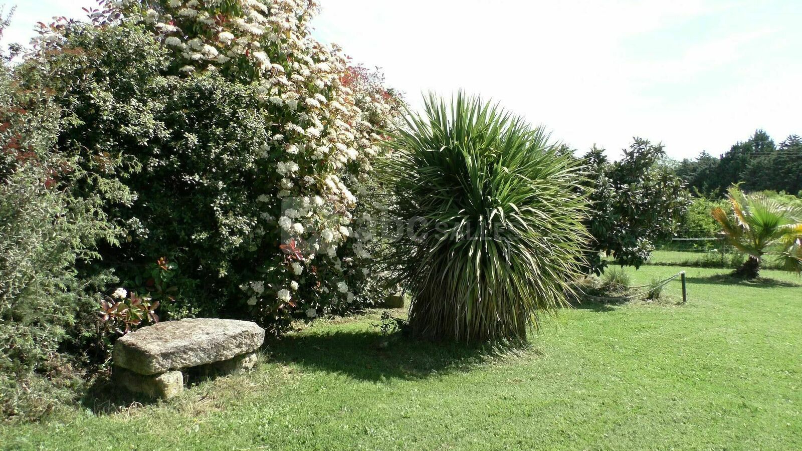 Petit coin de jardin