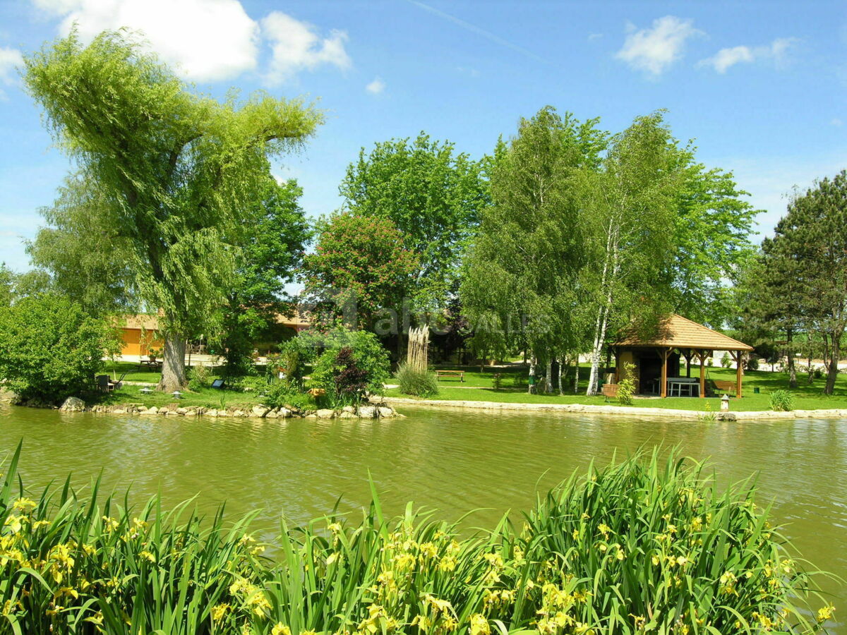 Vue des etangs