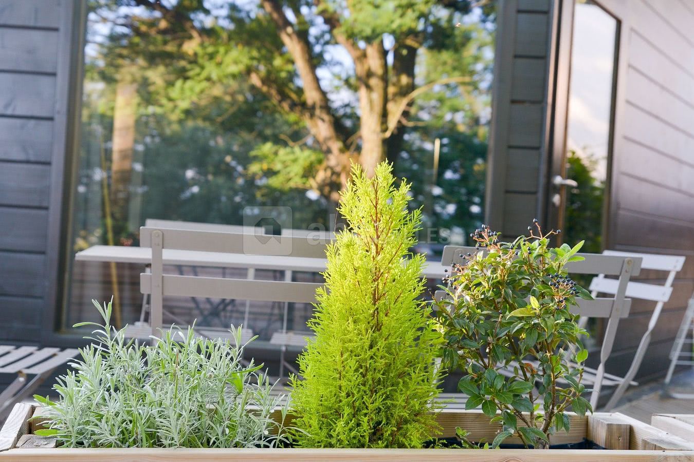 Jardin