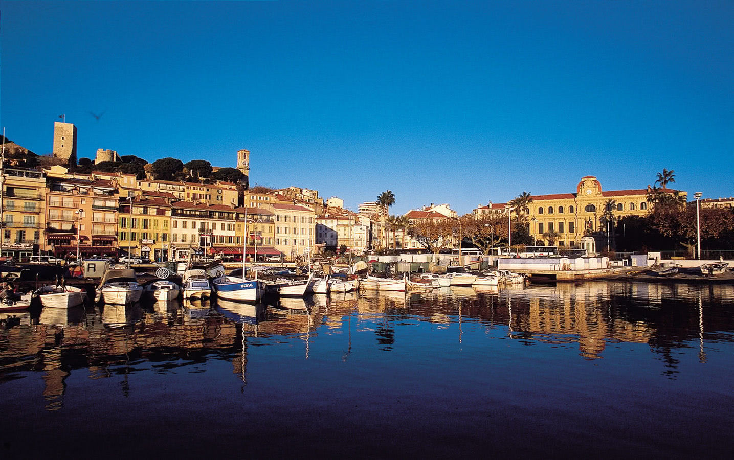 Le suquet