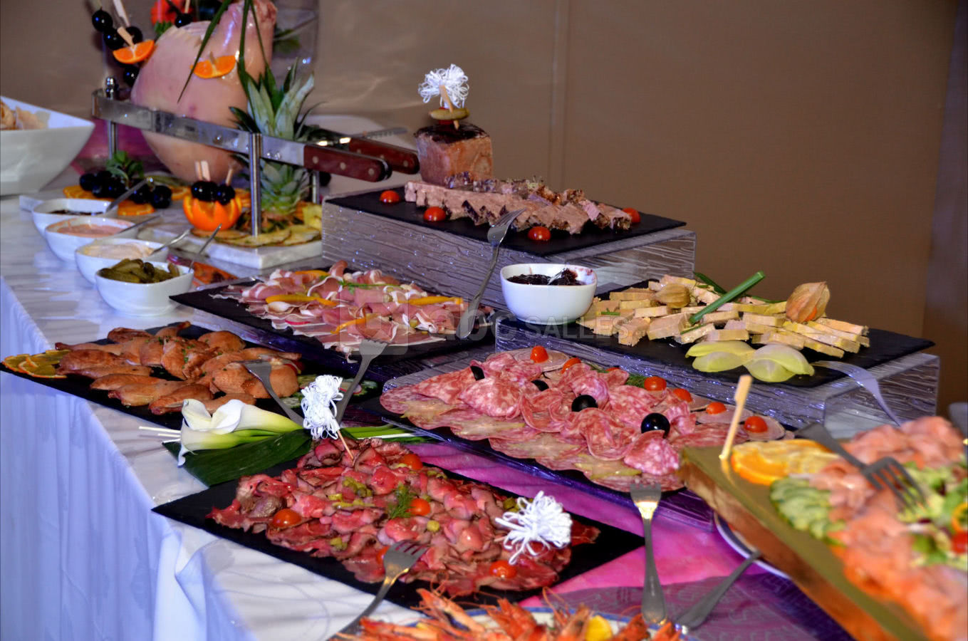 Les Salons du Château