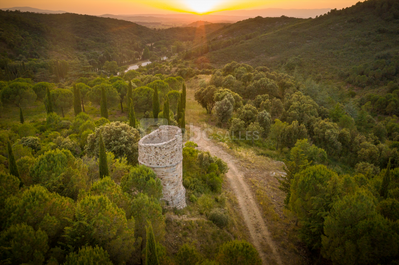 Notre massif, écrin de verdure à l'Abbaye de Fontfroide