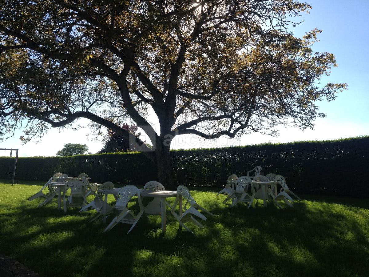 Terrasse ombragée noyer séculaire