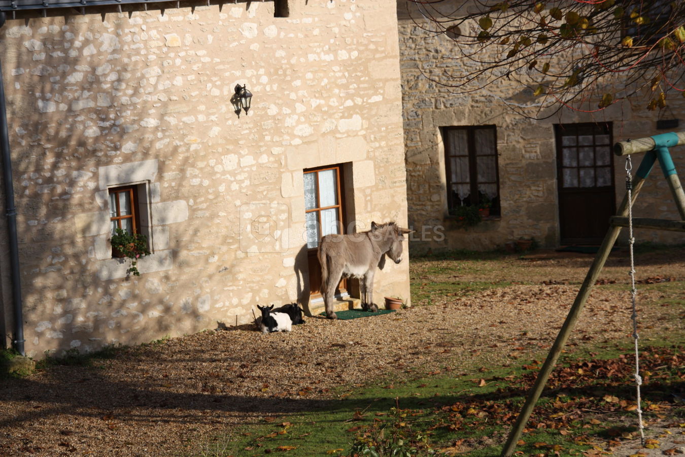 Nature, campagne et détente