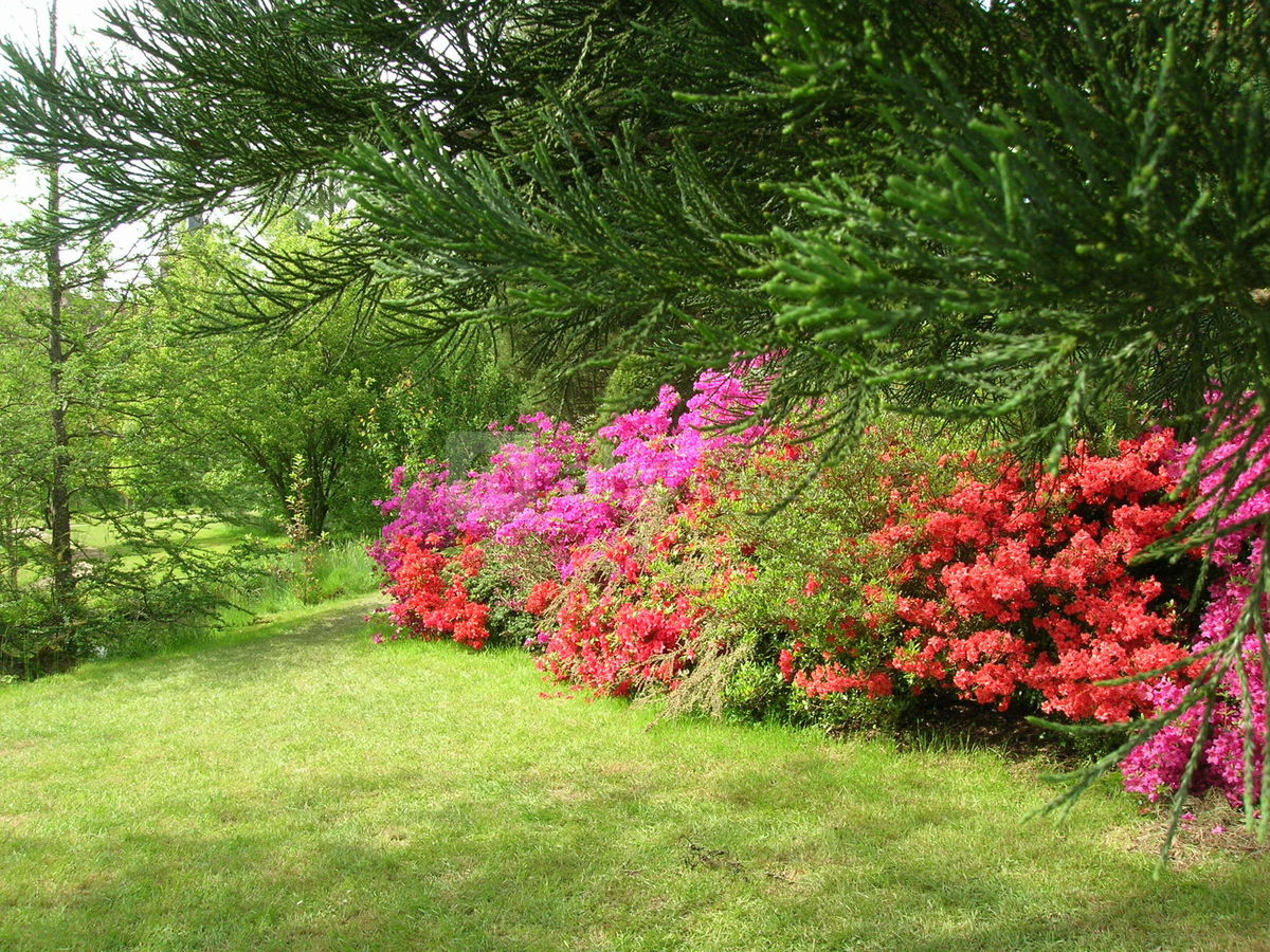 Jardin