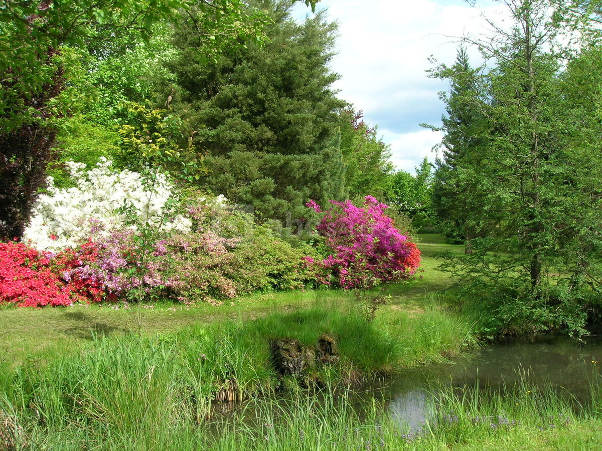 Jardin
