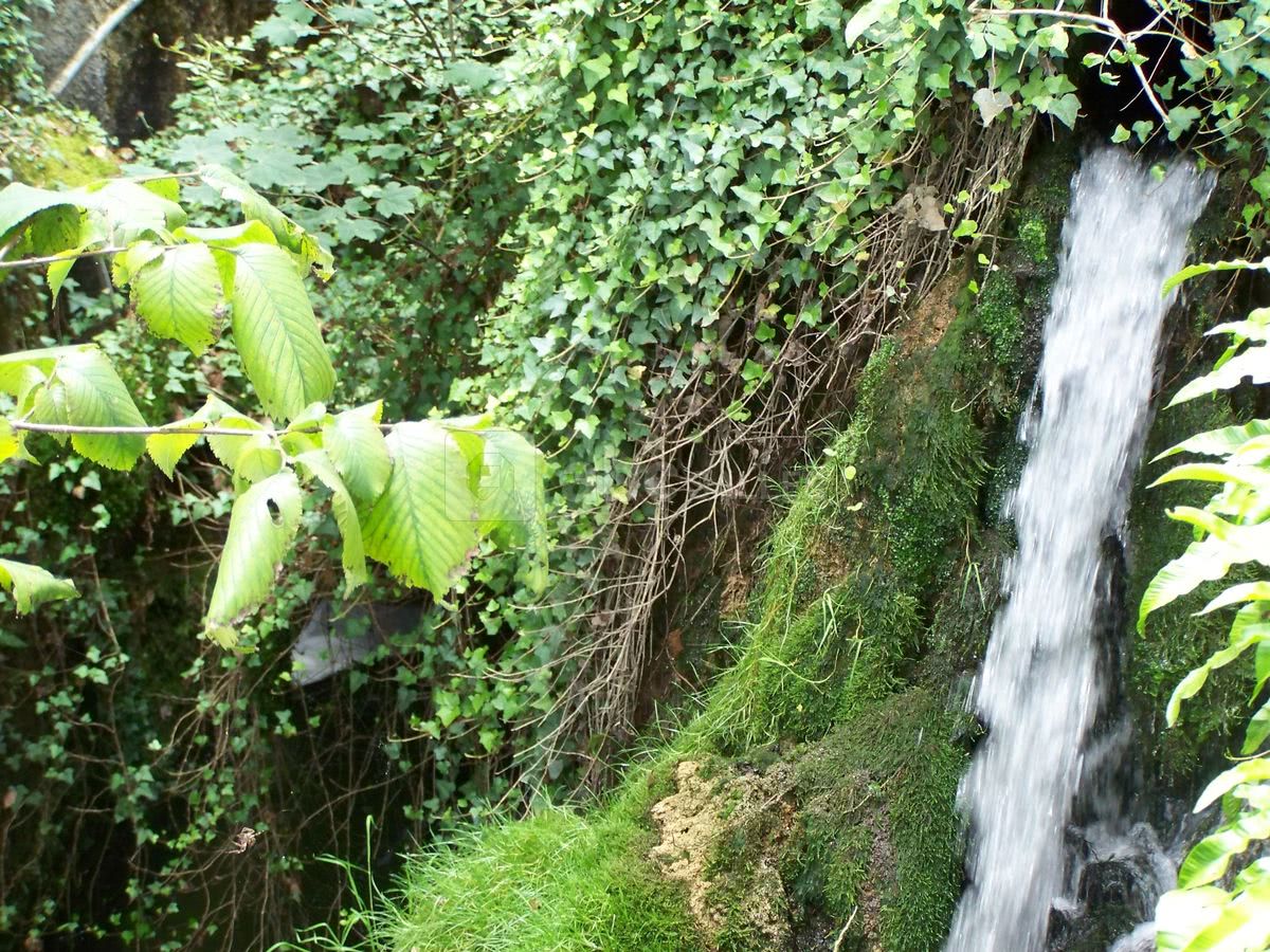 L'auberge des Moulins