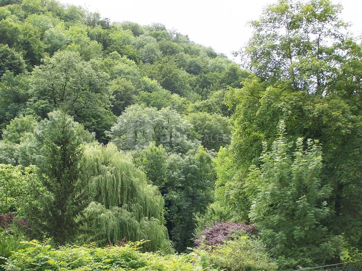L'auberge des Moulins