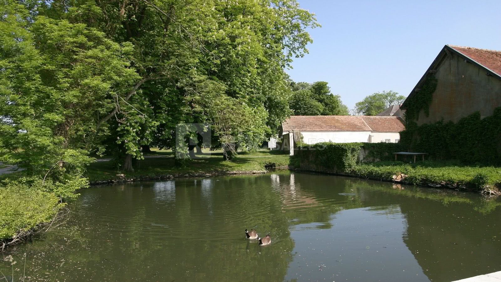 Douves de la ferme