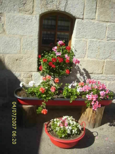 Et toujours des fleurs!