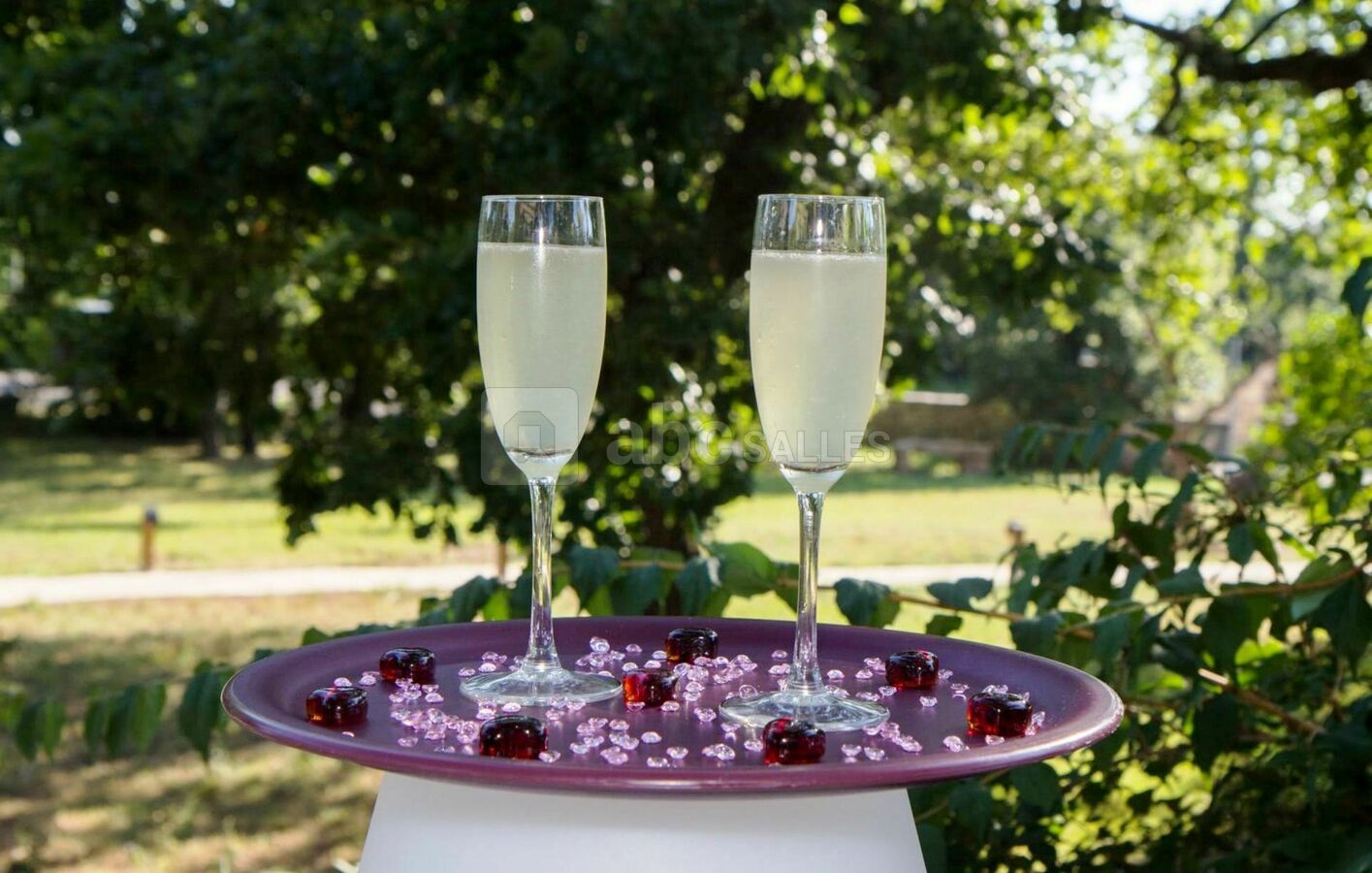 Verres plateau