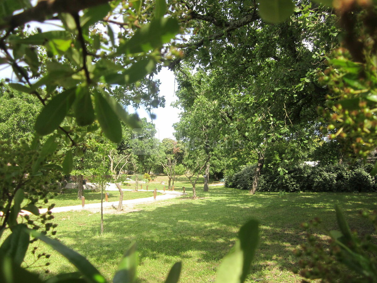 Allée ancienne