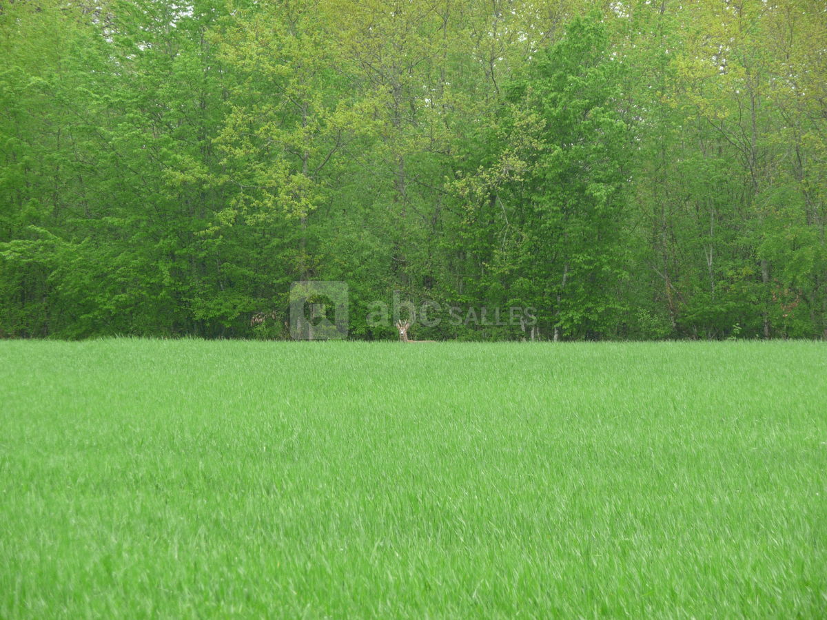 Le parc