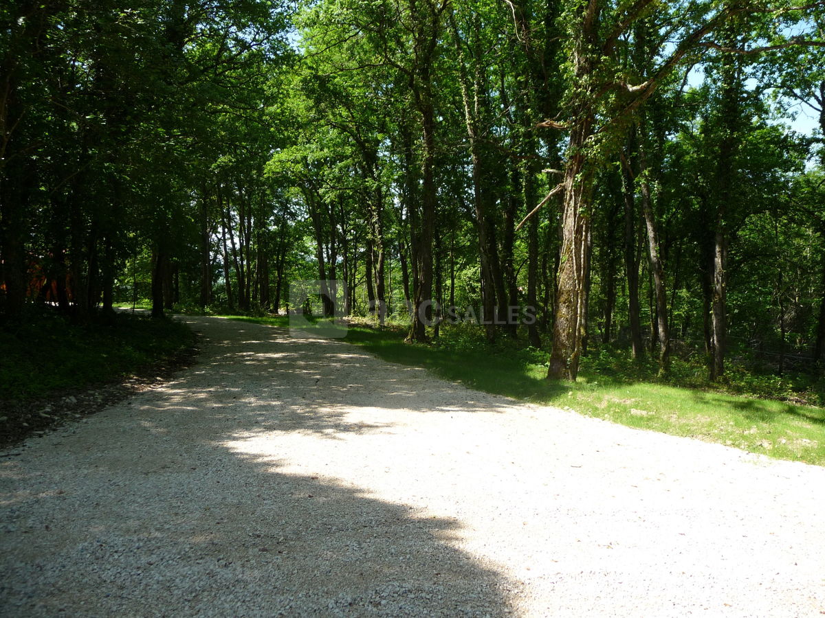 Le Bois de la Garenne - ABC Salles