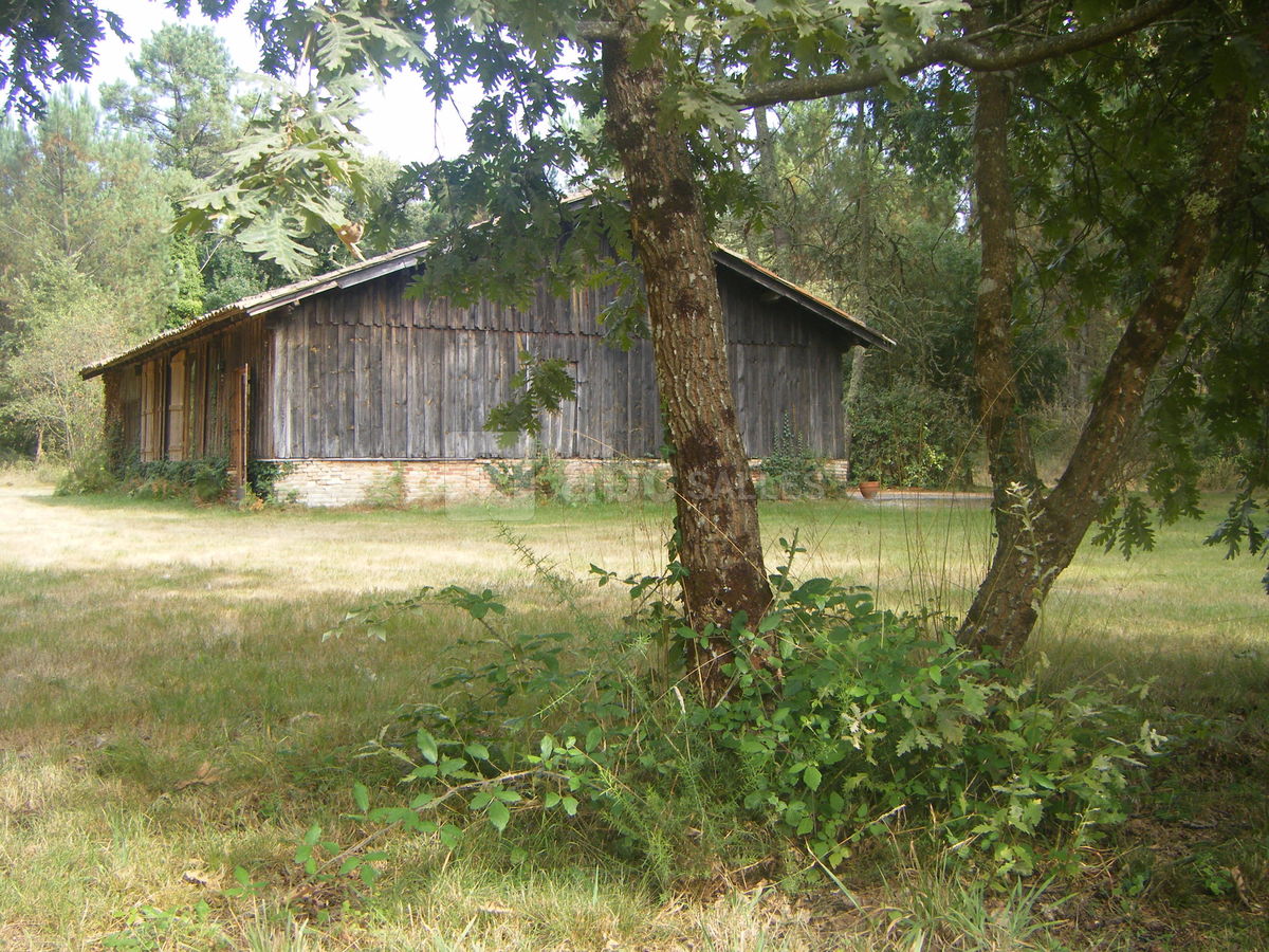 La bergerie de pernaud