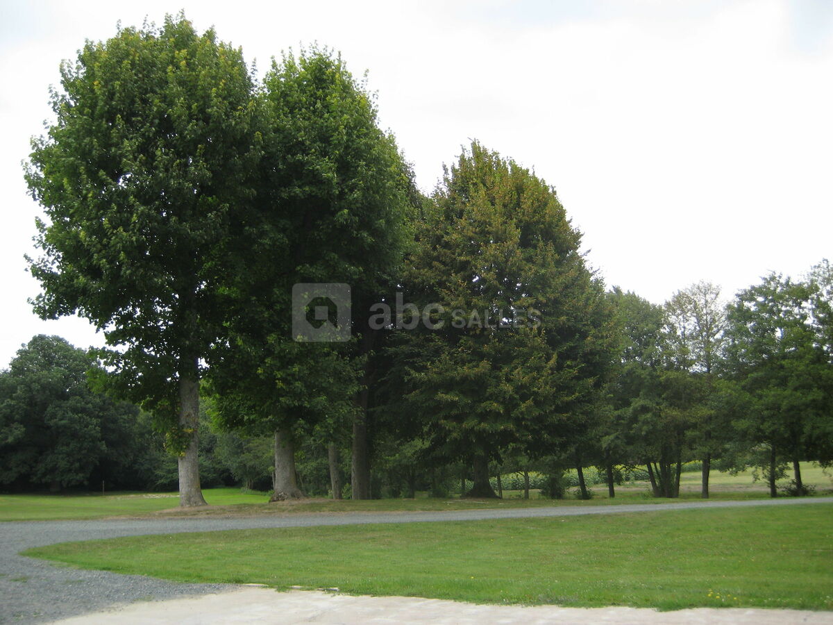 Le parc