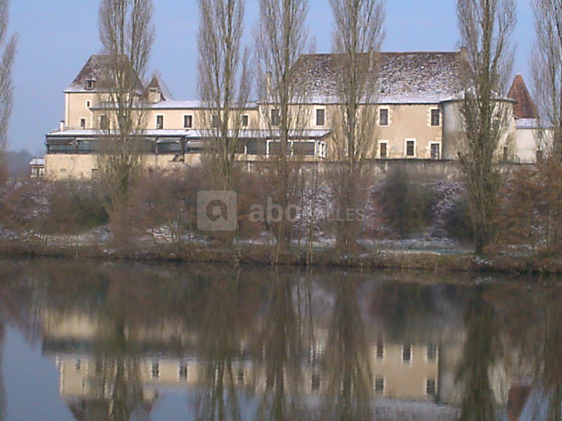 Chateau vue de la rivière