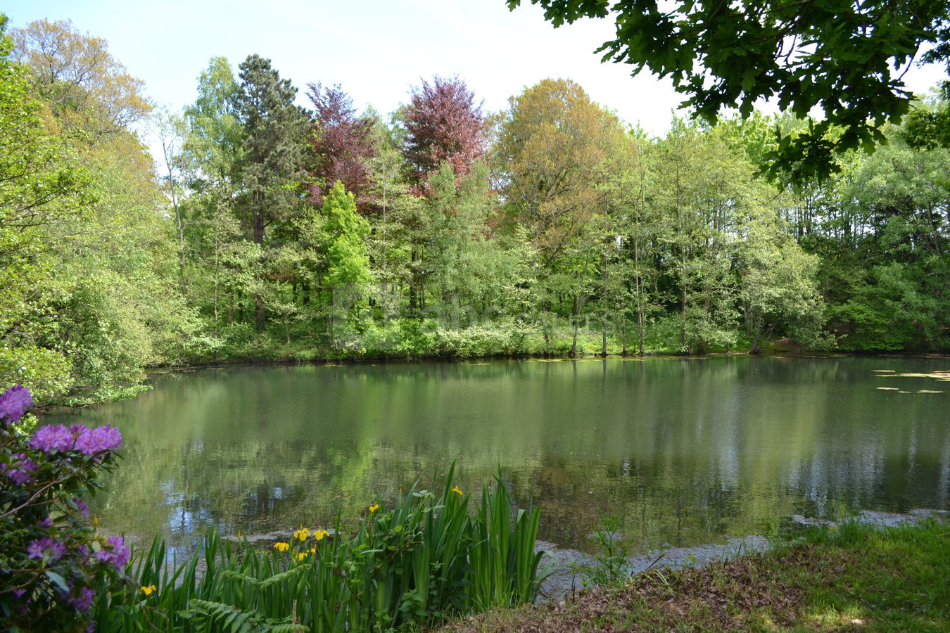 Château de Carneville - parc - étang