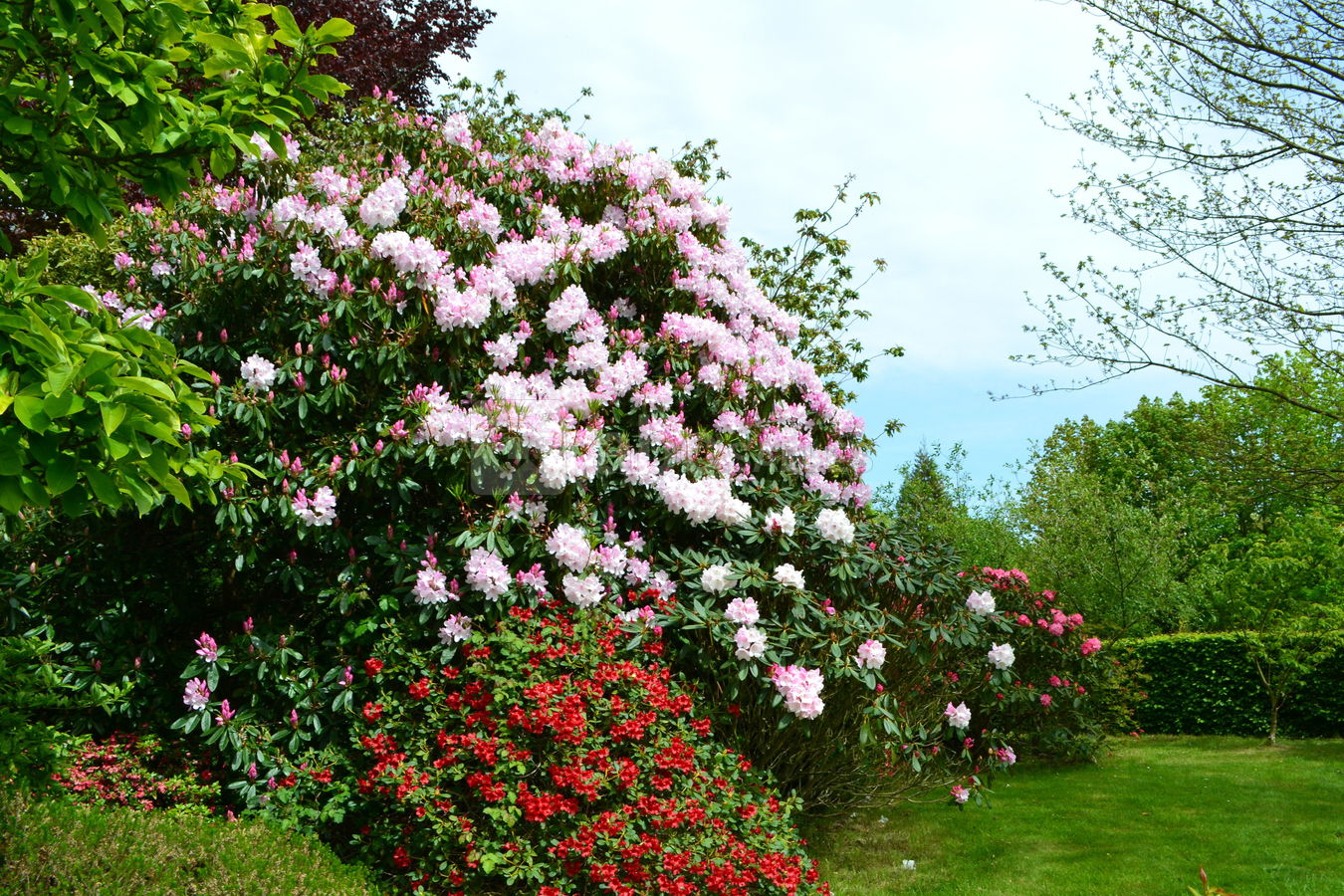 Château de Carneville - parc