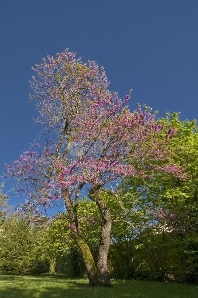 Domaine de Rennebourg
