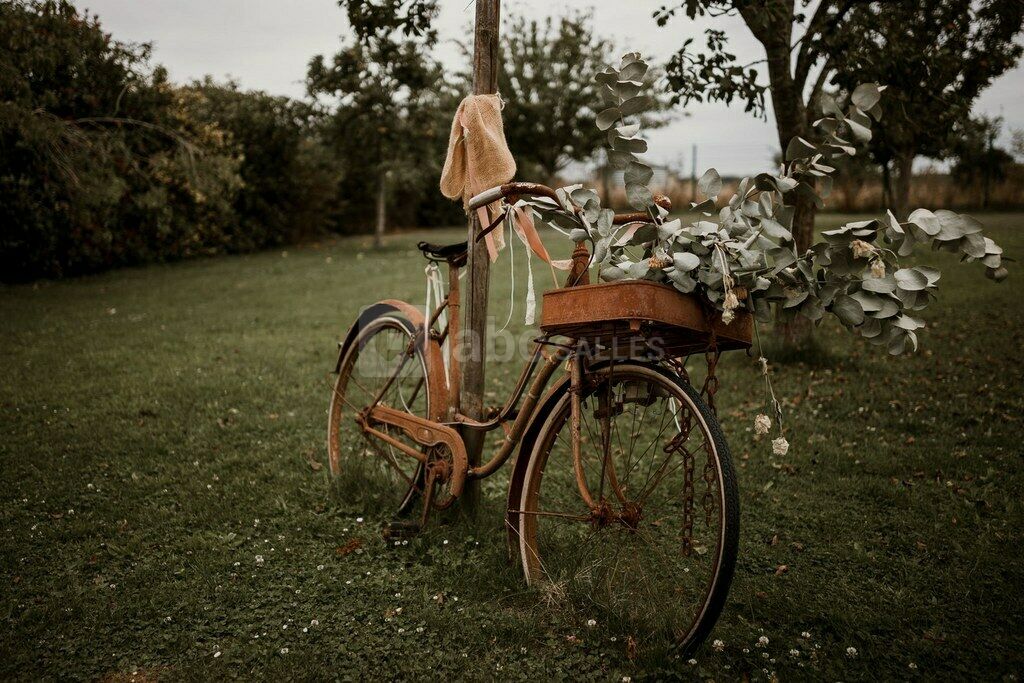 Vélo vintage