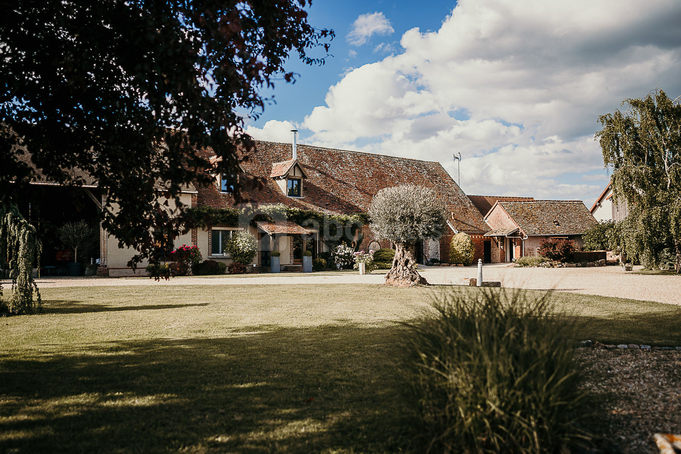 La grande Cour