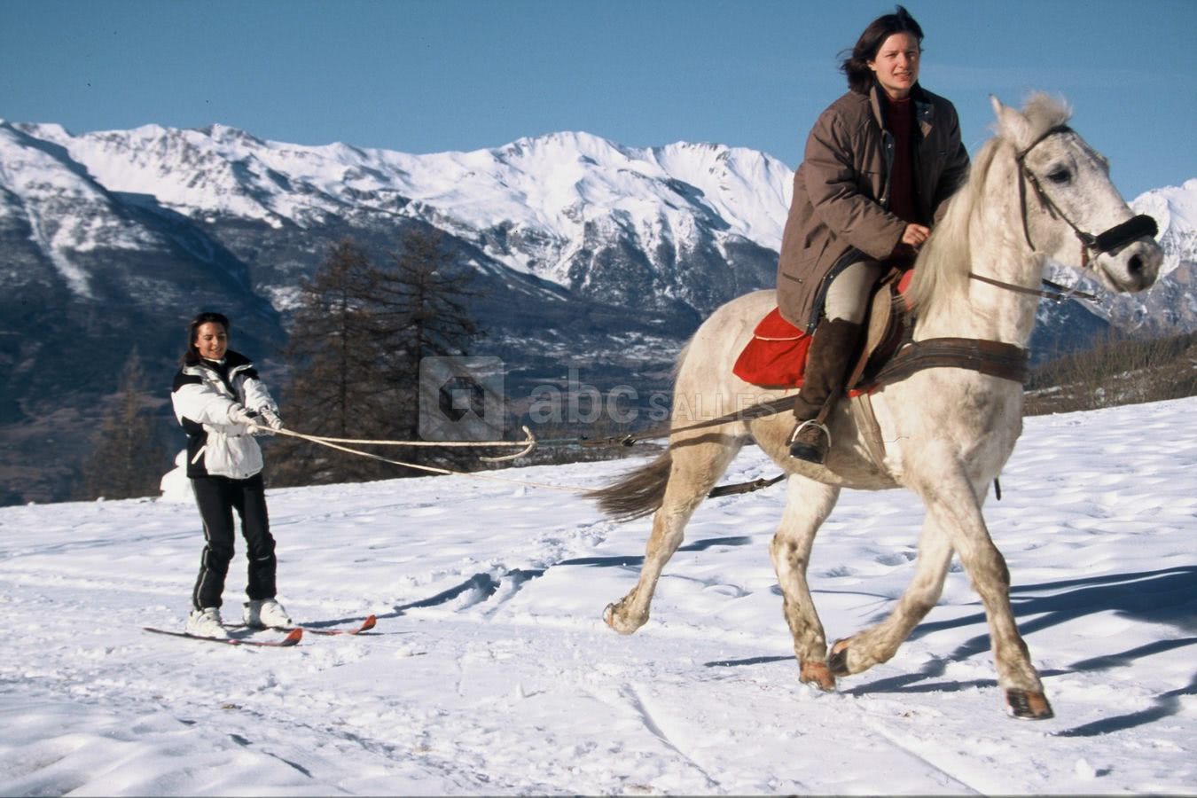 Ski joering