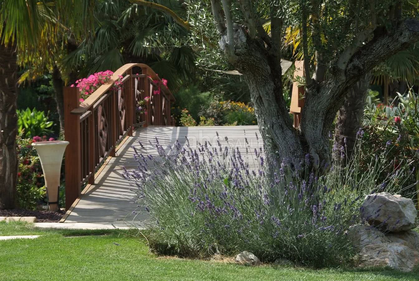Le pont2