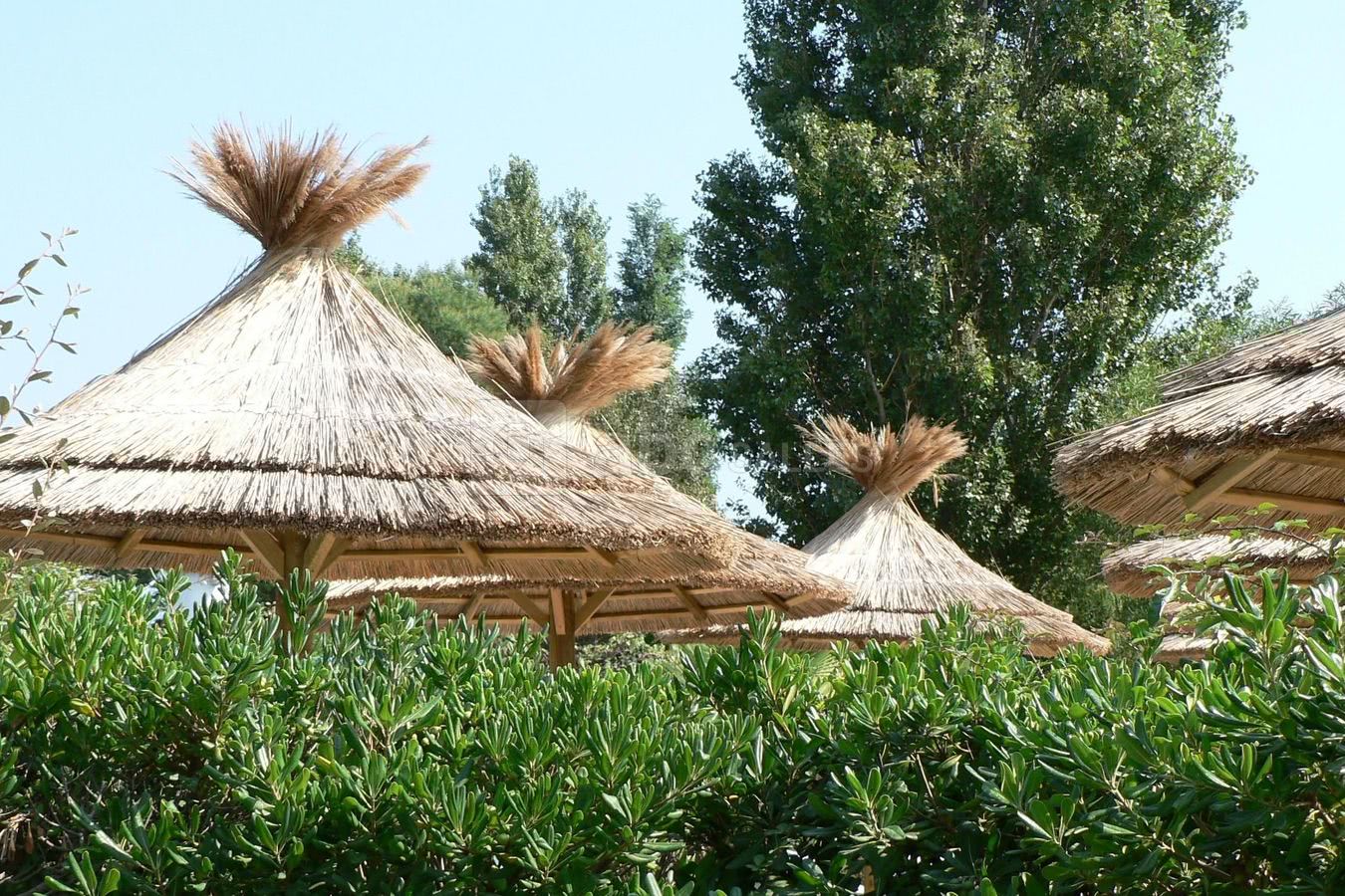 Les paillottes